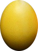 oeuf jaune