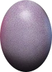 oeuf violet